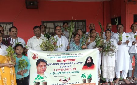 पूज्य आचार्य बालकृष्ण महाराज जी के जन्मदिवस पर जड़ी बूटी दिवस मनाया गया